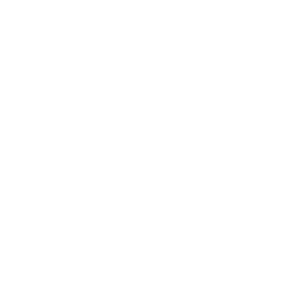 Correo Electrónico